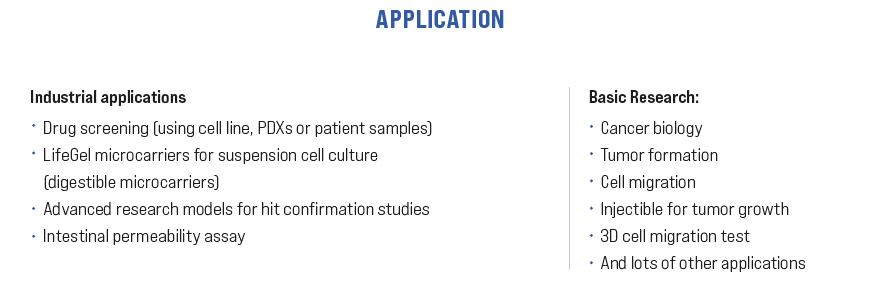 Application 2